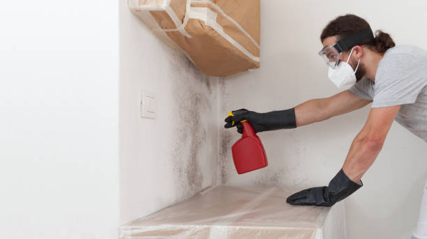 Professional Crawl Space Mold Remediation technician working in Wallingford, PA